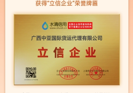 广西中亚国际货运代理有限公司的专线公司的形象展示LOGO